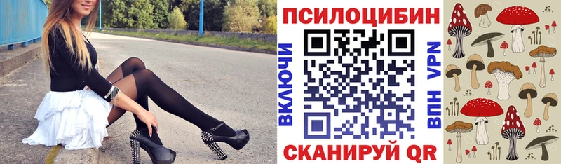 Псилоцибиновые грибы прущие грибы Ставрополь